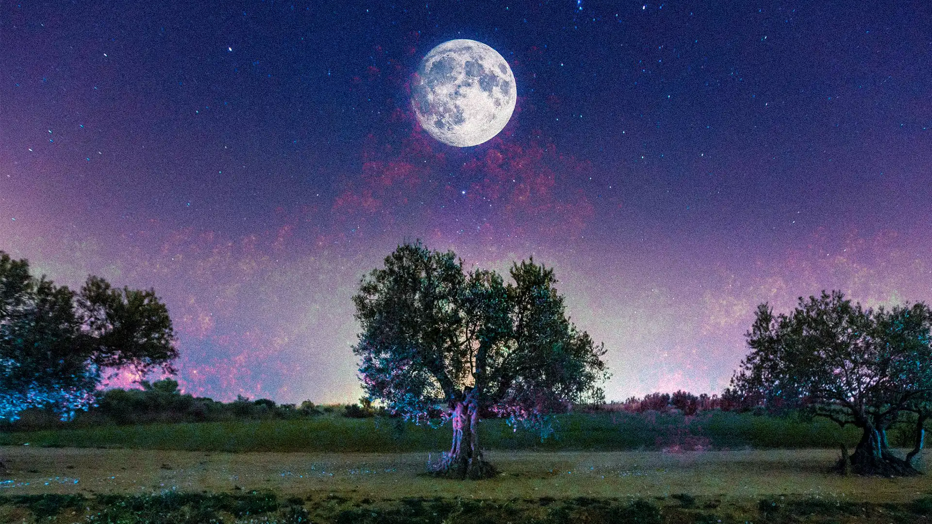 El Calendario Lunar en el Olivar Zais Bio