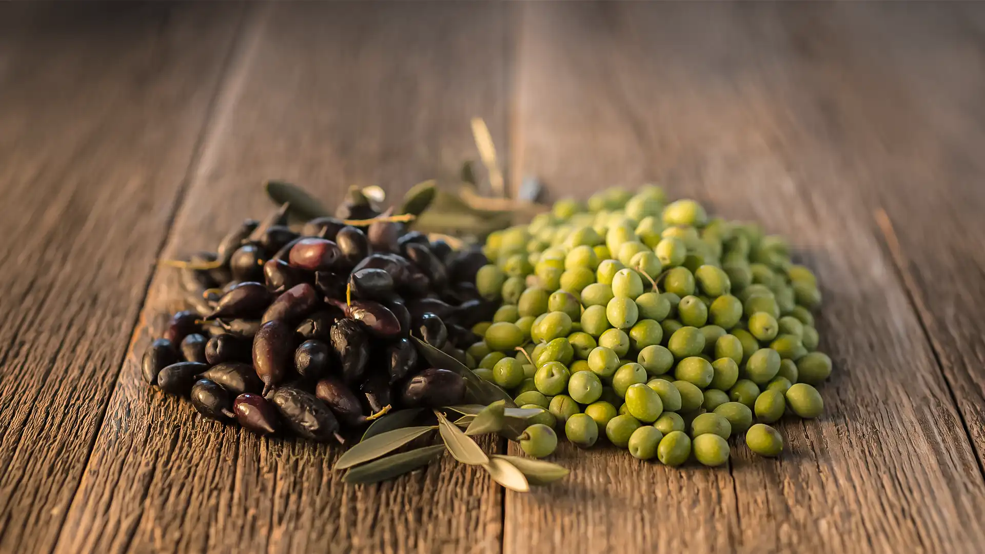 Picual y Arbequina. el carácter del AOVE de Zais Bio